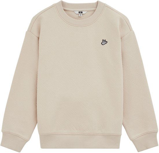WE Fashion Jongens sweater met structuur en embroidery