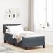 Prolenta Maison Exclusive Bed met pocketvering en matras, donkergrijs, 80x200 cm, fluweel