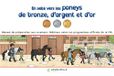 En selle vers les poneys de bronze, d'argent et d'or: Manuel de préparation aux examens fédéraux selon les programmes officiels de la FFE