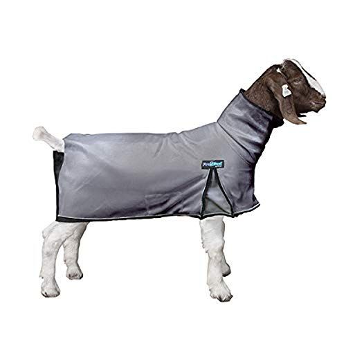 Weaver Leather Unisex's ProCool Goat Blanket with Reflective Piping, Small, Gray Sheep, S