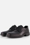ECCO HELSINKI 2 Schoenen Mannen Zwart 45