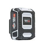 Briggs & Stratton 18 V lithium-ion 2,5 Ah accu voor Murray 18 V, met USB poort, 3 jaar garantie, 883251, 1697532