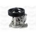 Graf Pompe à Eau, Refroidissement Du Moteur Pa1121 Land Rover 1096556 1136393