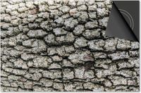 Dietrix Inductie Beschermer - 78x52cm - Hout en Boom - Schors Patroon
