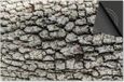 Dietrix Inductie Beschermer - 78x52cm - Hout en Boom - Schors Patroon