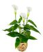 Callaplant Calla Kunstplant in mand - Kunstmatige witte bloemen van kunststof - Kunstbloemen - Zijden bloemboeketten - Aronstamkas Lelie