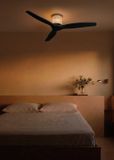 Create WIND CALM CUSTOM RATTAN Plafondventilator