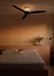 Create WIND CALM CUSTOM RATTAN Plafondventilator