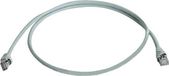Telegärtner 100008028 RJ45 Netwerkkabel, patchkabel CAT 6A S/FTP 0.25 m Grijs