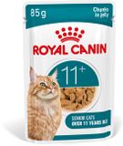 Royal Canin Kattenvoer Nat Jelly Ageing 11+ - 12 x 85 gr