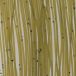 Baetis Jambes Silicone