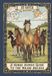 22 Gates: A horse human guide to the Major Arcana