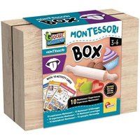 LISCIANI Kit voor het maken van heerlijke koekjes - Word een echte banketbakker
