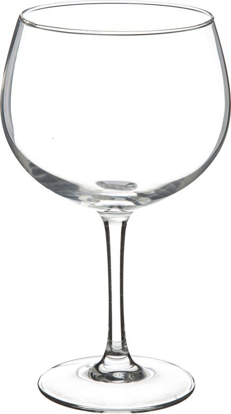 Secret de Gourmet Gin Tonic Glazen - 4 stuks - 700 ml - Transparant