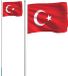 vidaXL Vlag met vlaggenmast Turkije 6,08 m aluminium