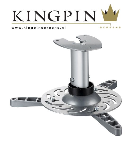 Kingpin Vertical Projector Mount - Silver