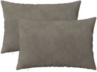 vidaXL Kussensloop 2 stuks Lichtgrijs 30 x 50 cm Fluweel