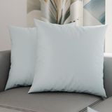 PETTI Artigiani Italiani - Paar kussenslopen 50 x 50 cm van microvezel, decoratief kussen voor slaapkamer bank set van 2 kussenslopen, effen, lichtblauw, 100% Made in Italy