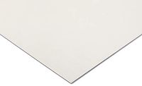 RS PRO PC kunststof plaat, transparant, 8mm x 625mm x 305mm