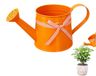 Mini Watering Can with Long Spout for Precise Irrigation