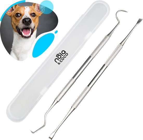 Nola & Coco Professionele Tandsteen Verwijderaar Set inclusief Bewaardoosje + Tonova Pen - Tandenkrabber - Set van Twee - Hond - Kat - Huisdier - Tandenstoker - Mondverzorging - Tandenhaakje - Gebitsreiniging - Dierendag Cadeau silver