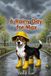 A Max's Day A Rainy Day for Max Paperback