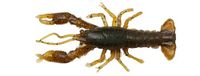 Savage Gear Ned Craw - Realistische rivierkreeft imitatie voor baarsvissen, zout-geïnfundeerd Duratech materiaal, levensechte rivierkreeft actie voor roofvissen Green Pumpkin 6,5 cm