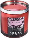 Spaas Geurkaars met modulaire ring - Poetic Mystery - Spearmint & Mandarin