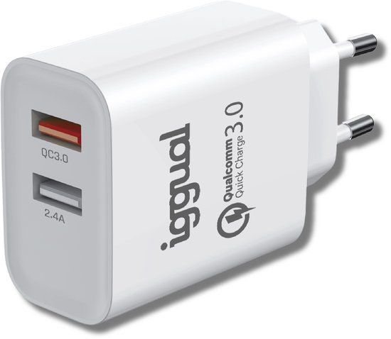 Iggual IGG317389 oplader voor mobiele apparatuur Universeel Wit AC Snel opladen Binnen