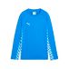 PUMA Teamliga26 Training Sweat Jr Crew Sweats voor jongens