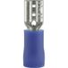 Vogt Verbindungstechnik 3904 femelle connecteur Largeur d'insertion : 4,8 mm Épaisseur d'insertion : 0,5 mm 180 ° Partiellement isolé Bleu 1 pièce(s)