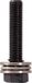 KS TOOLS Ersatzschraube für Schraublochstanze, 20mm 129.0304