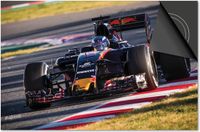 Dietrix Inductie Beschermer 81x52 - Sport - Max Verstappen F1 Auto Kleur