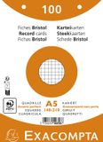 Exacompta 10x Pak 100 steekkaarten in folie - bristol geruit 5x5 geperforeerd - 148x210mm - Geassorteerd