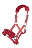 HKM Nylonhalster -Glitter- polarfleece voering rood Cob