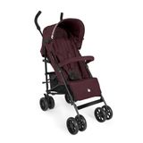 hauck Fold N Care, Blackberry - Compacte Buggy vanaf 6 Maanden tot 22 kg, Lichtgewicht Reisbuggy (7,6 kg), Ligstand, UPF 50+ Zonnekap, XL Boodschappenmand, Zwenkwielen