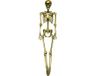 FIESTAS GUIRCA, S.L. FIESTAS GUIRCA Gouden hangend skelet 90 cm