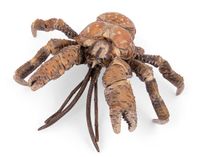 Papo Kokosnootkrab - Realistische Zeedierfiguur - 3,4 cm | Vanaf 3 jaar