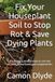 Fix Your Houseplant Soil