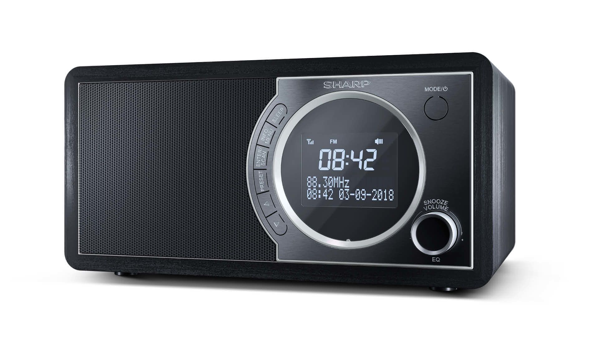 Sharp DR-450 - Persoonlijke Digitale Radio met Bluetooth - Zwart/Roestvrijstaal
