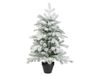 Everlands Grandis mini boom d51h75cm grn/wt