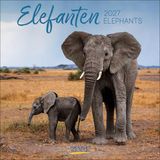 Elefanten 2027: Broschürenkalender mit Ferienterminen. Tierkalender mit viel Platz für Notizen. Mit Monatskalendarium zum Eintragen. 30 x 30 cm