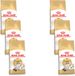 Royal Canin Ragdoll Adult - Kattenvoer - 6 x 2 kg