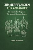 Zimmerpflanzen für Anfänger: Ein praktischer Ratgeber für gesunde Zimmerpflanzen