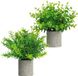 Unyqoos® Plantes artificielles, set de 2 – Eucalyptus et romarin dans des pots en papier gris