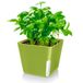 Zendea Vierkante groene pot voor planten, bloemen en kruiden, 13 x 11 cm, ideaal voor tuin, terras en balkon, met comfortabel transparant gedeelte, ideaal voor de controle van het waterpeil