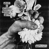 When Easy Life When a Flower Doesn't Grow