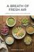 A Breath of Fresh Air: A World Tour of Natural Mouth Fresheners