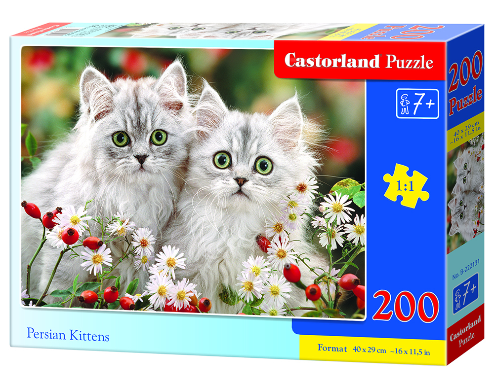 Castorland Persian Kittens- 200pcs