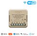 StarTech Slimme schakelmodule voor gordijnen - WiFi - 1 stuk - Wisselschakelaar met resetfunctie - Bediening via app en afstandsbediening - Spraakbesturing - Max. 625 W